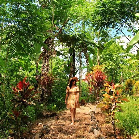 Natura Gardens Galapagos Bellavista  Ngoại thất bức ảnh