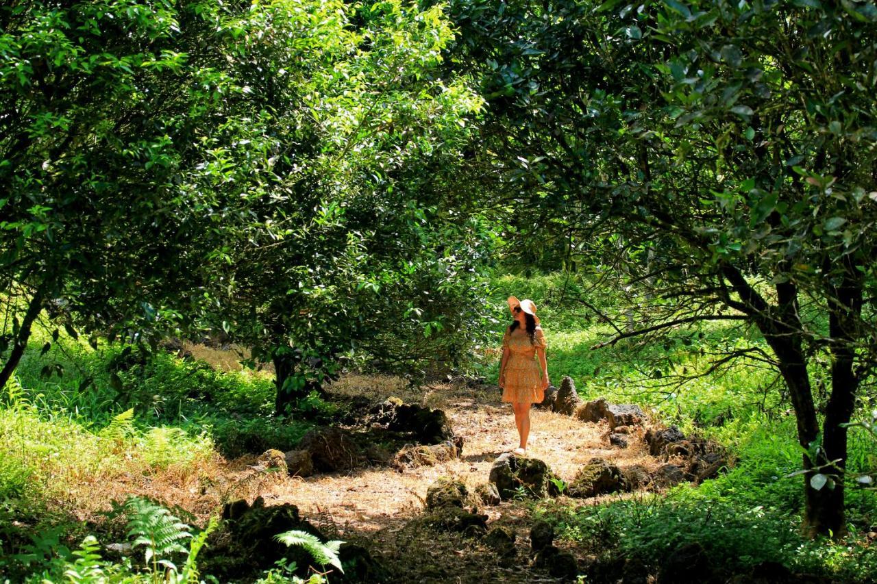 Natura Gardens Galapagos Bellavista  Ngoại thất bức ảnh