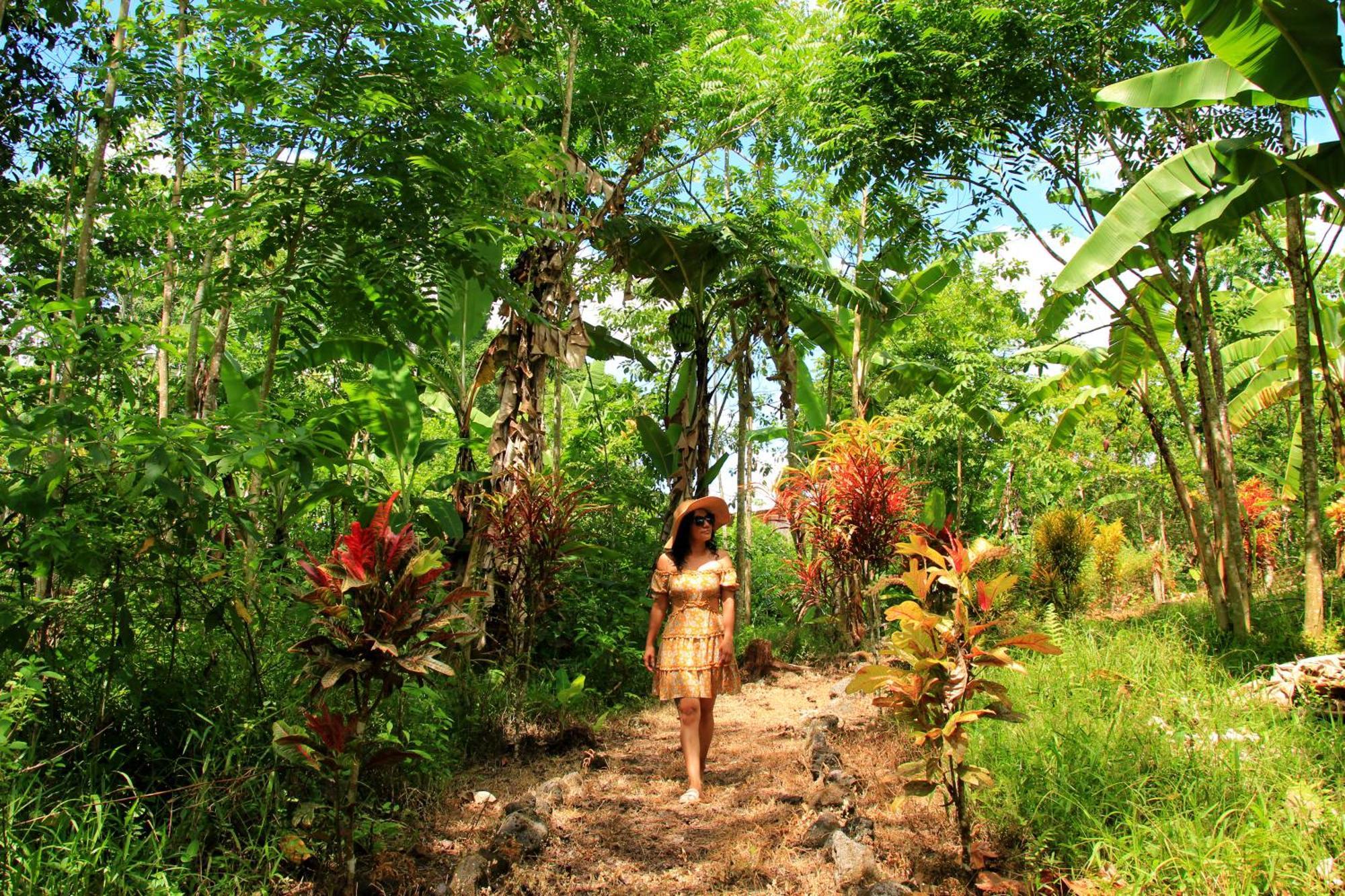 Natura Gardens Galapagos Bellavista  Ngoại thất bức ảnh